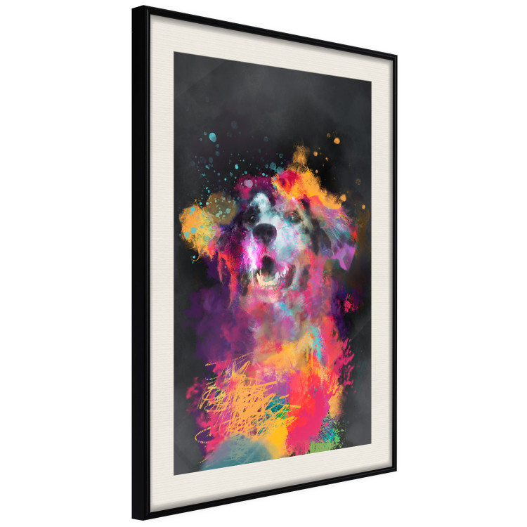 Poster Doggy Joy - multicolored dog in watercolor motif on a black background 130522 additionalImage 2