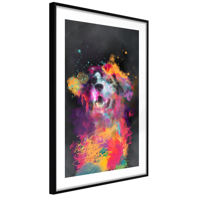 Poster Doggy Joy - multicolored dog in watercolor motif on a black background 130522 additionalImage 8