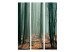 Room Separator Witches' Forest - fantasy forest landscape in misty dark ambiance 134122 additionalThumb 3