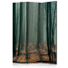 Room Separator Witches' Forest - fantasy forest landscape in misty dark ambiance 134122