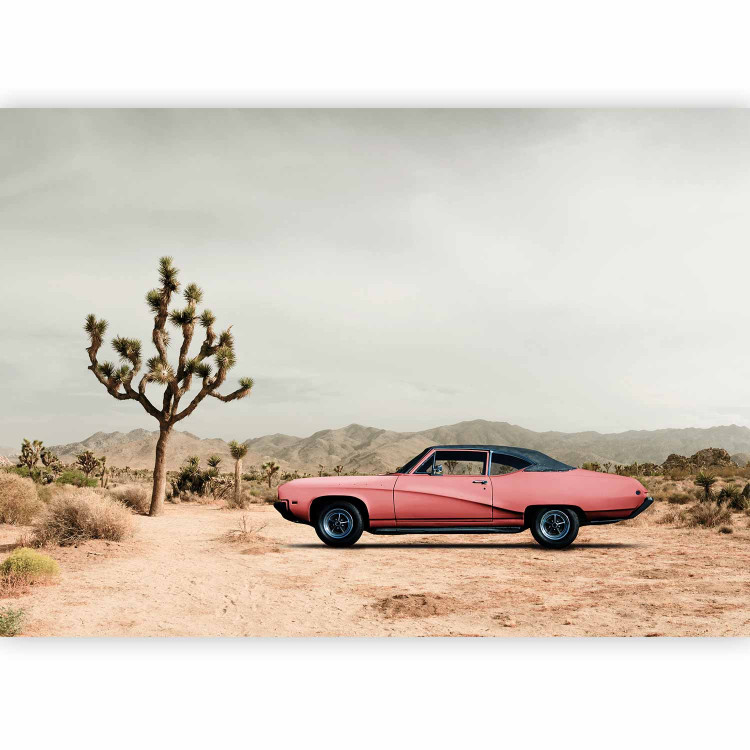 Wall Mural Pink, American classic - photo of desert with car and mountains 136322 additionalImage 1