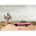 Wall Mural Pink, American classic - photo of desert with car and mountains 136322 additionalThumb 1