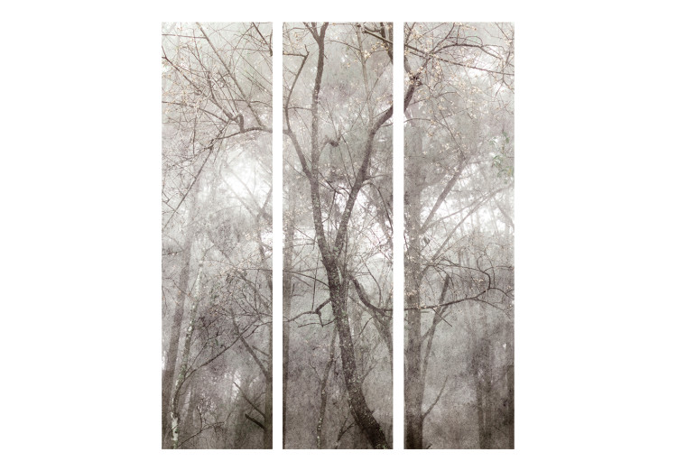 Room Divider Screen Forest Summit (3-piece) - Landscape overlooking gray trees 138522 additionalImage 3