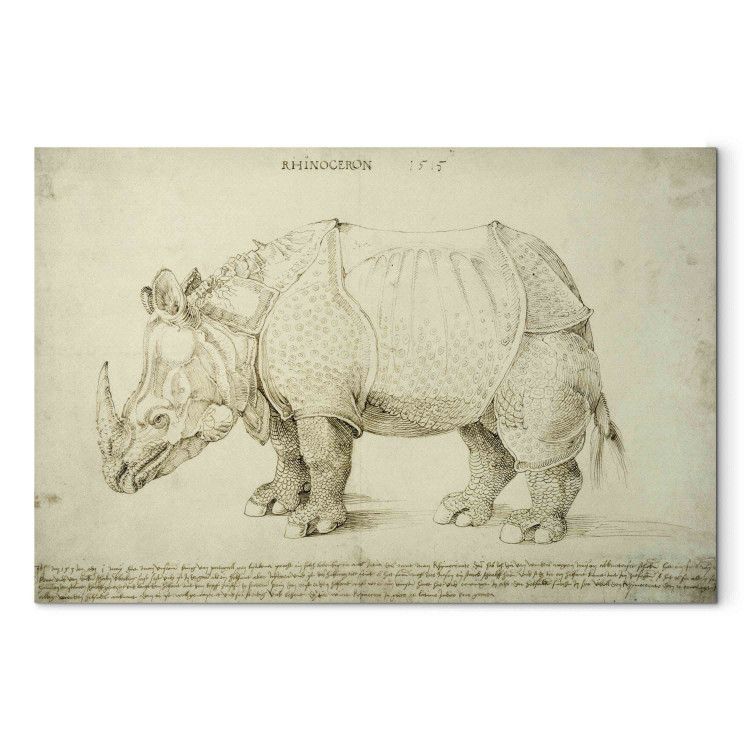 Art Reproduction Rhinozeros 152622