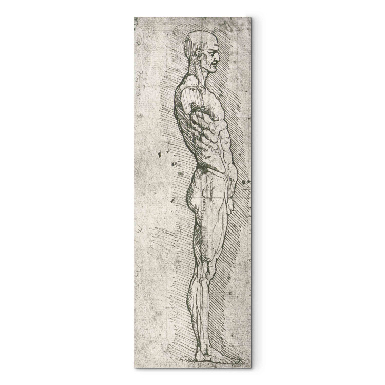 Art Reproduction Anatomical Study (pen and ink on paper) 158022