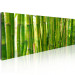 Canvas Bamboo grove 58822 additionalThumb 2