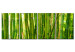 Canvas Bamboo grove 58822