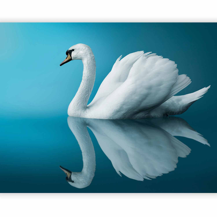 Photo Wallpaper Swan - reflection 61322 additionalImage 5