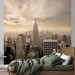 Wall Mural Dawn in New York - Manhattan Architecture with Empire State Building 61522 additionalThumb 2