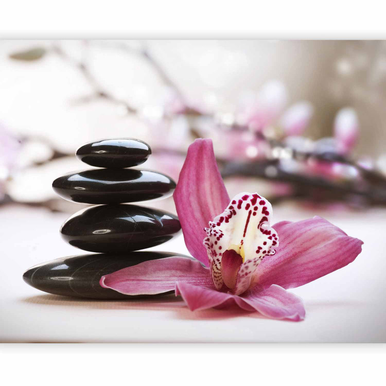 Photo Wallpaper Relaxation and Wellness 61622 additionalImage 1