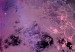Wall Poster Unknown Planet - cosmos and stars in a unique colorful abstraction 118332 additionalThumb 9
