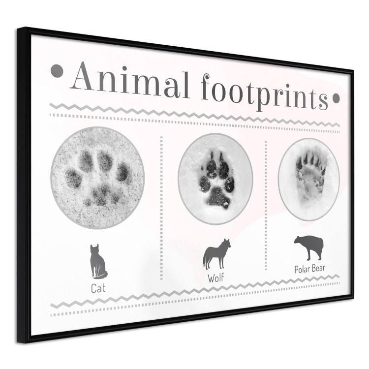 Wall Poster Paw Prints - animal paw prints with black signatures and graphics 122932 additionalImage 10