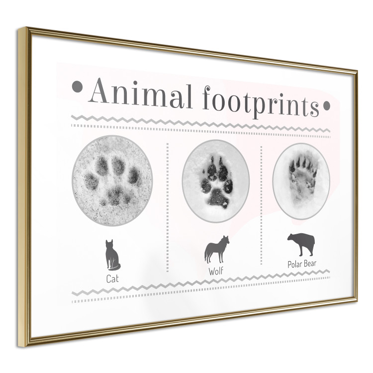Wall Poster Paw Prints - animal paw prints with black signatures and graphics 122932 additionalImage 6
