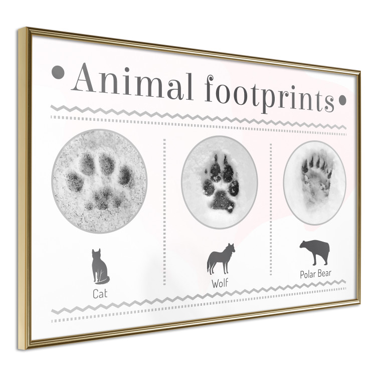 Wall Poster Paw Prints - animal paw prints with black signatures and graphics 122932 additionalImage 12