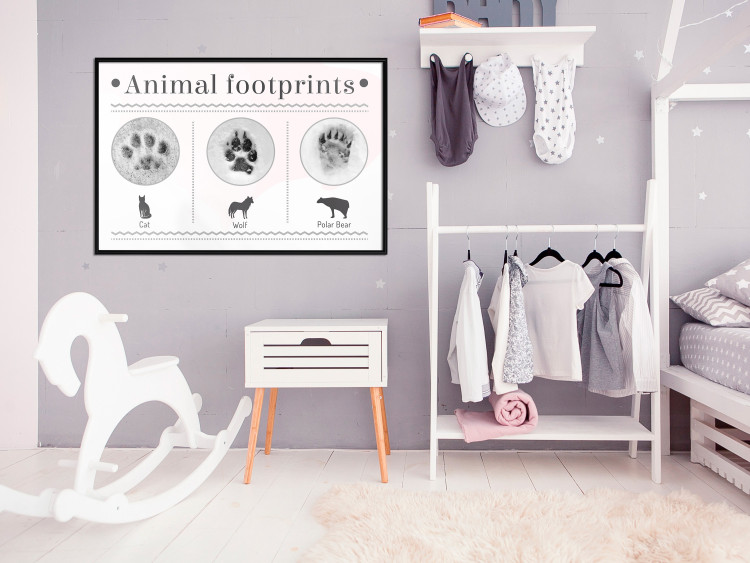 Wall Poster Paw Prints - animal paw prints with black signatures and graphics 122932 additionalImage 3