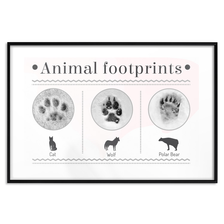 Wall Poster Paw Prints - animal paw prints with black signatures and graphics 122932 additionalImage 15