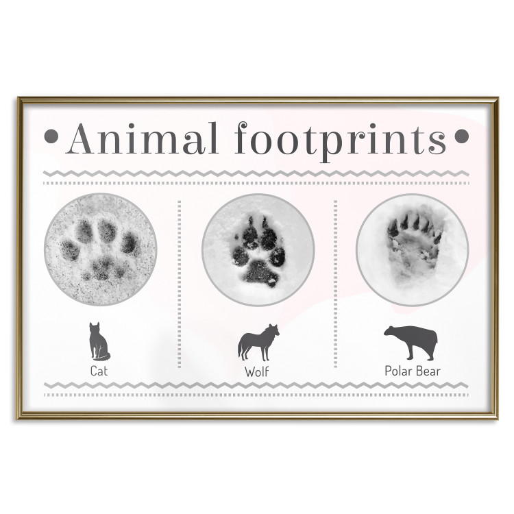 Wall Poster Paw Prints - animal paw prints with black signatures and graphics 122932 additionalImage 16