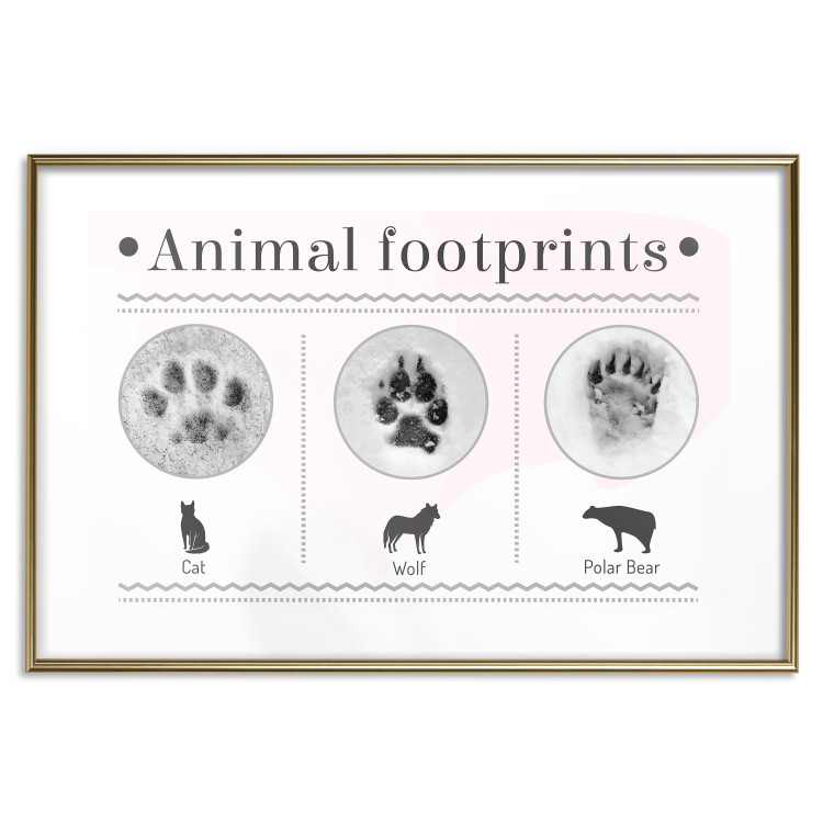 Wall Poster Paw Prints - animal paw prints with black signatures and graphics 122932 additionalImage 14