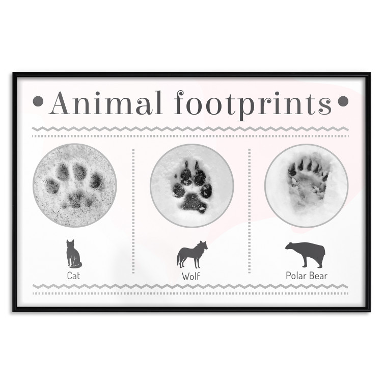 Wall Poster Paw Prints - animal paw prints with black signatures and graphics 122932 additionalImage 18