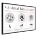 Wall Poster Paw Prints - animal paw prints with black signatures and graphics 122932 additionalThumb 10