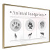 Wall Poster Paw Prints - animal paw prints with black signatures and graphics 122932 additionalThumb 6