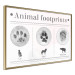 Wall Poster Paw Prints - animal paw prints with black signatures and graphics 122932 additionalThumb 12