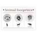 Wall Poster Paw Prints - animal paw prints with black signatures and graphics 122932