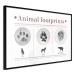 Wall Poster Paw Prints - animal paw prints with black signatures and graphics 122932 additionalThumb 11