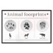 Wall Poster Paw Prints - animal paw prints with black signatures and graphics 122932 additionalThumb 18