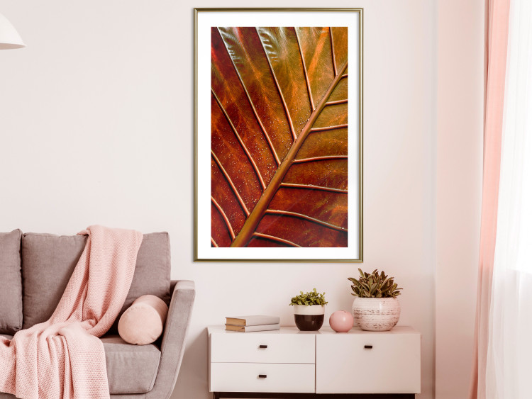 Wall Poster September Dusk - detailed leaf texture in autumn colors 123932 additionalImage 17