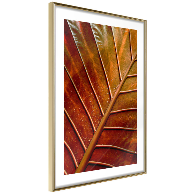 Wall Poster September Dusk - detailed leaf texture in autumn colors 123932 additionalImage 5