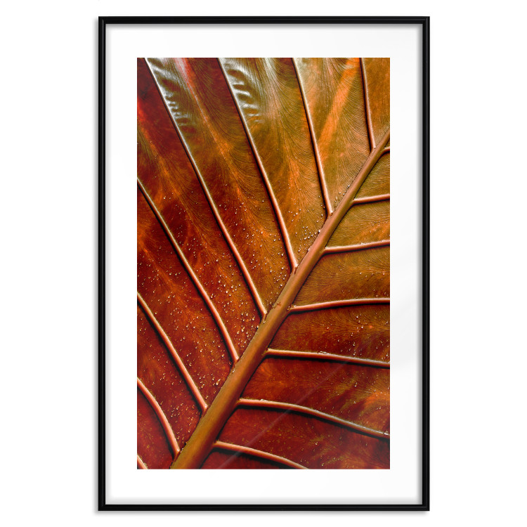 Wall Poster September Dusk - detailed leaf texture in autumn colors 123932 additionalImage 14