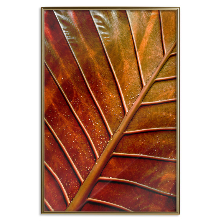 Wall Poster September Dusk - detailed leaf texture in autumn colors 123932 additionalImage 15