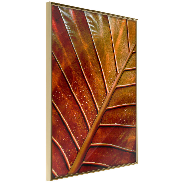 Wall Poster September Dusk - detailed leaf texture in autumn colors 123932 additionalImage 11