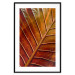 Wall Poster September Dusk - detailed leaf texture in autumn colors 123932 additionalThumb 14