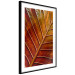 Wall Poster September Dusk - detailed leaf texture in autumn colors 123932 additionalThumb 10