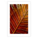 Wall Poster September Dusk - detailed leaf texture in autumn colors 123932 additionalThumb 18