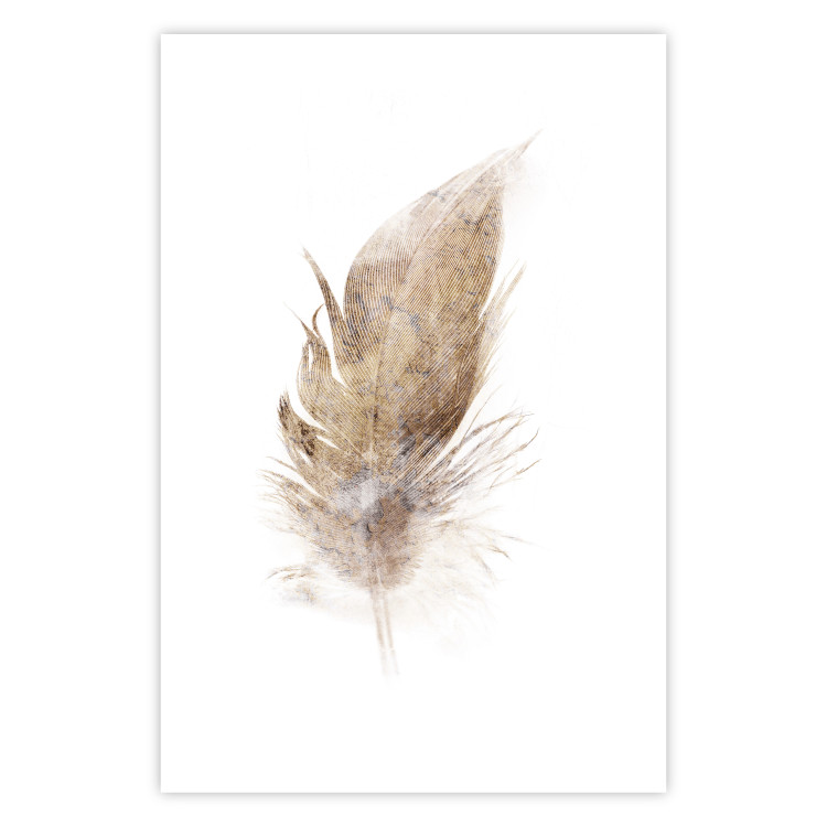 Poster Transience (Beige) - velvety feather in a single color on a white background 125232 additionalImage 25