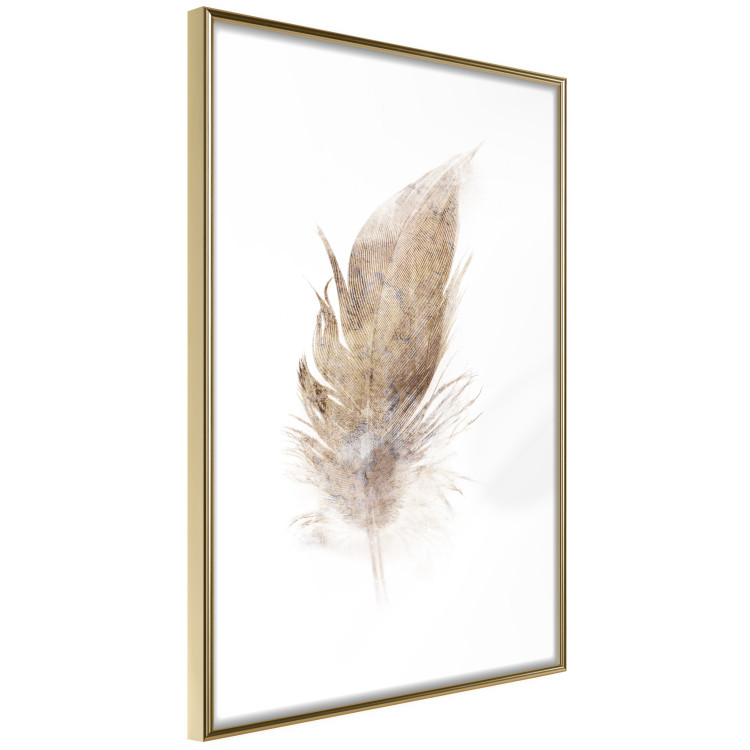 Poster Transience (Beige) - velvety feather in a single color on a white background 125232 additionalImage 3