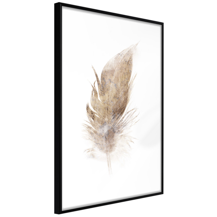 Poster Transience (Beige) - velvety feather in a single color on a white background 125232 additionalImage 2
