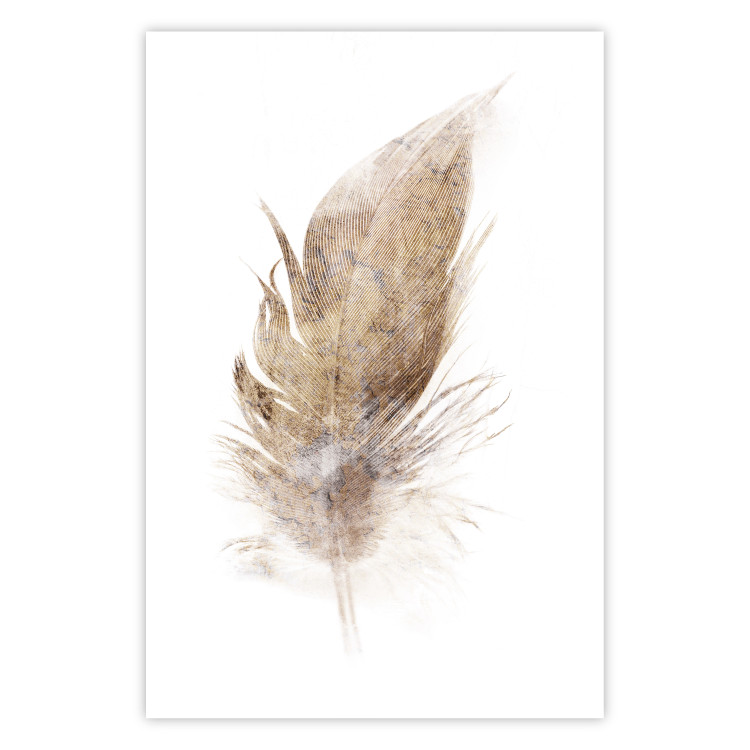 Poster Transience (Beige) - velvety feather in a single color on a white background 125232