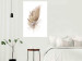 Poster Transience (Beige) - velvety feather in a single color on a white background 125232 additionalThumb 23
