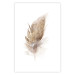 Poster Transience (Beige) - velvety feather in a single color on a white background 125232 additionalThumb 25