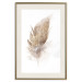 Poster Transience (Beige) - velvety feather in a single color on a white background 125232 additionalThumb 19
