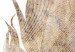 Poster Transience (Beige) - velvety feather in a single color on a white background 125232 additionalThumb 6