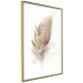 Poster Transience (Beige) - velvety feather in a single color on a white background 125232 additionalThumb 7