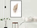 Poster Transience (Beige) - velvety feather in a single color on a white background 125232 additionalThumb 11