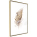 Poster Transience (Beige) - velvety feather in a single color on a white background 125232 additionalThumb 5