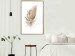Poster Transience (Beige) - velvety feather in a single color on a white background 125232 additionalThumb 10