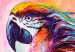 Poster Colorful Parrots - parrots on a tree against a background of abstract colors 127032 additionalThumb 10